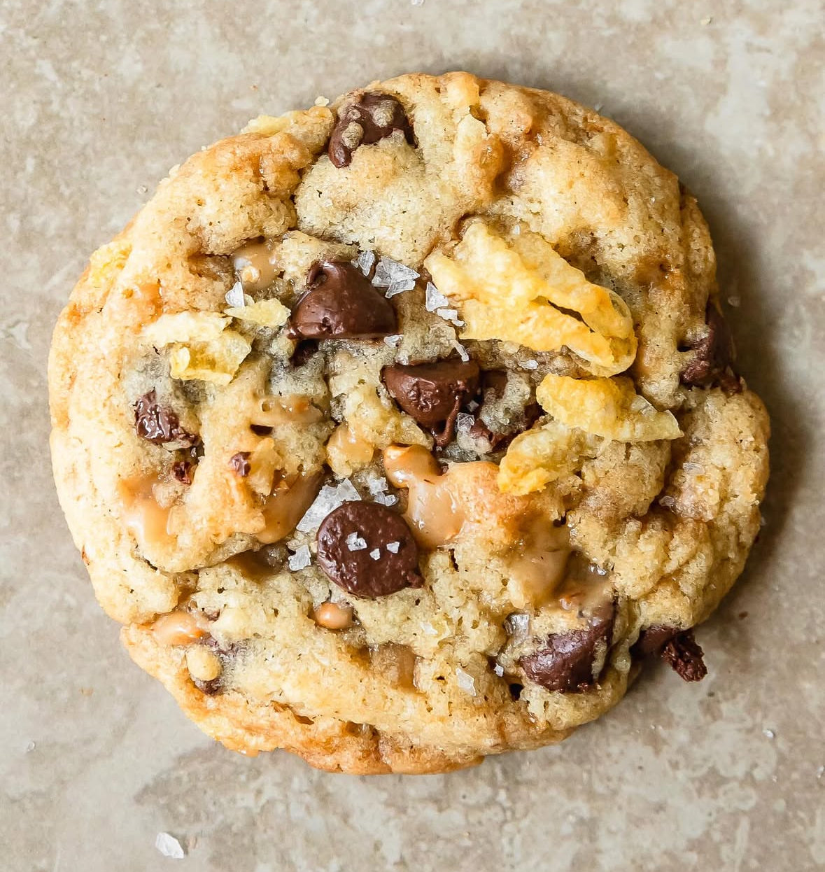 Fermentation Station Cookies