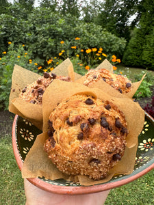 Jumbo Pumpkin Chocolate Chip Muffin - NEW
