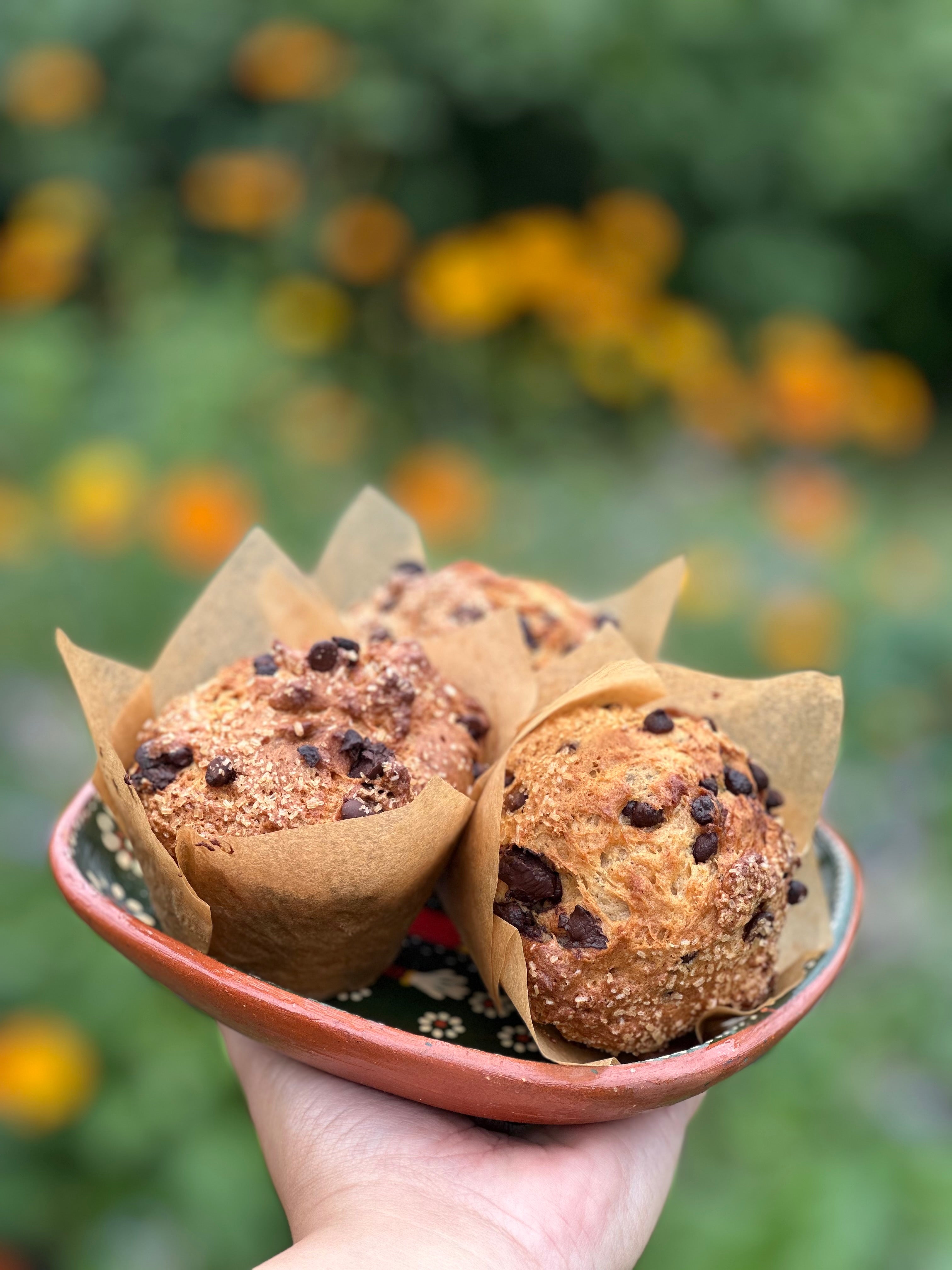 Jumbo Pumpkin Chocolate Chip Muffin - NEW