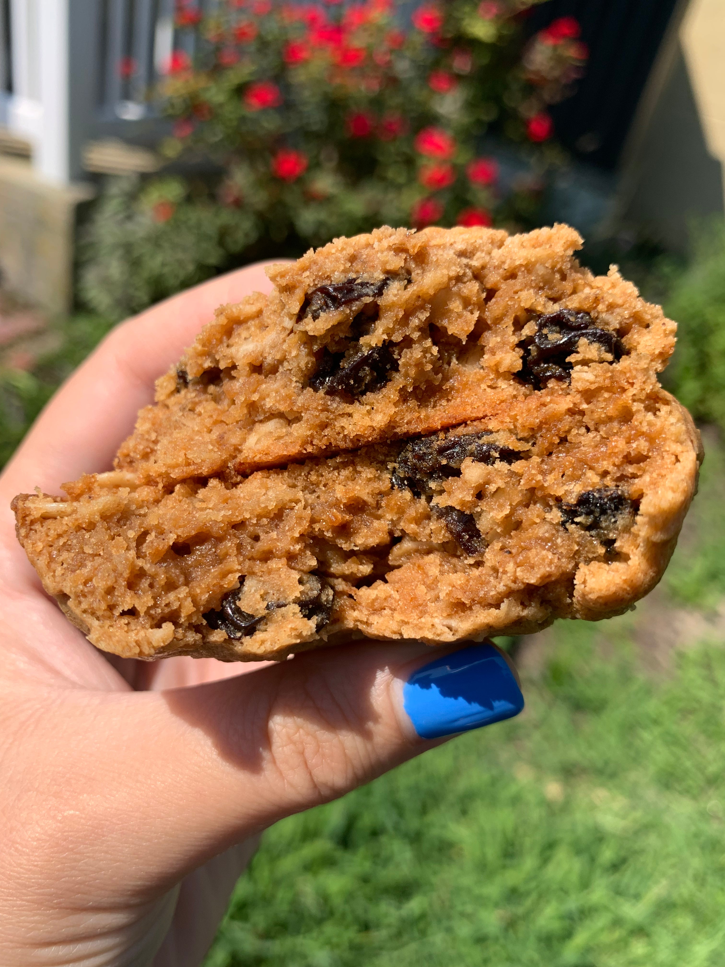 Chewy Wild Blueberry Oatmeal Cookie - One Time Only